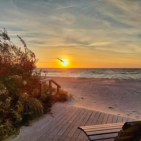 Seestern 32 -